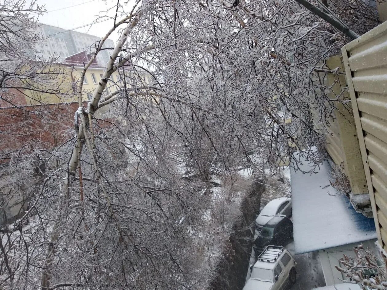 Ледяной дождь во владивостоке в каком году. Ледяной дождь владивосток ноябрь 2020. Ледяной дождь 1988 год в америке. Владивосток зима 2020. Ледяной дождь во владивостоке в каком году.