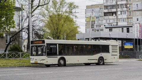 Автобус 486 спб маршрут