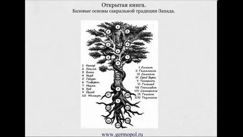 Древо ангела аудиокнига слушать