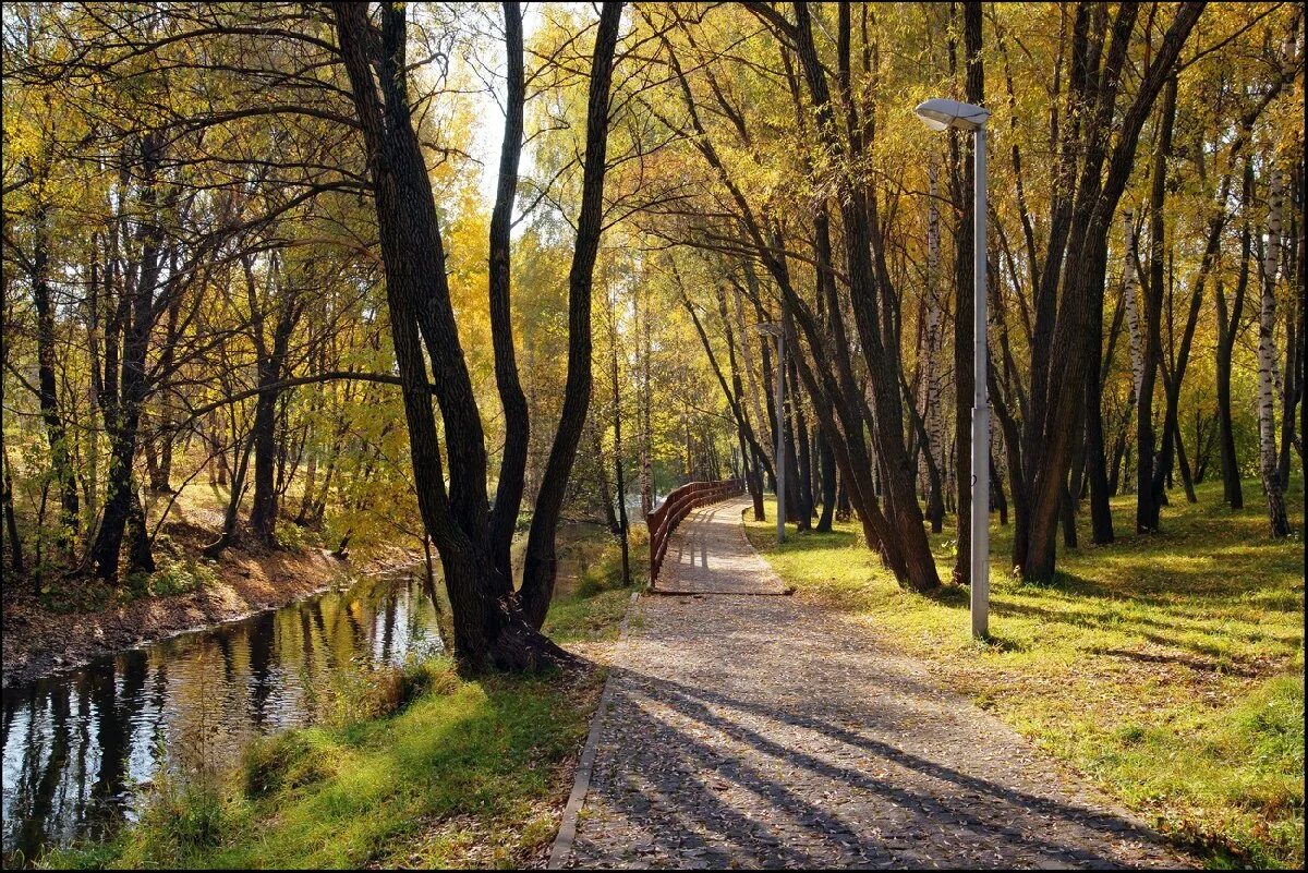 Парк Яуза Свиблово. Яуза река парк Свиблово. Парк Яуза в Медведково. Парк Яуза в СВАО.