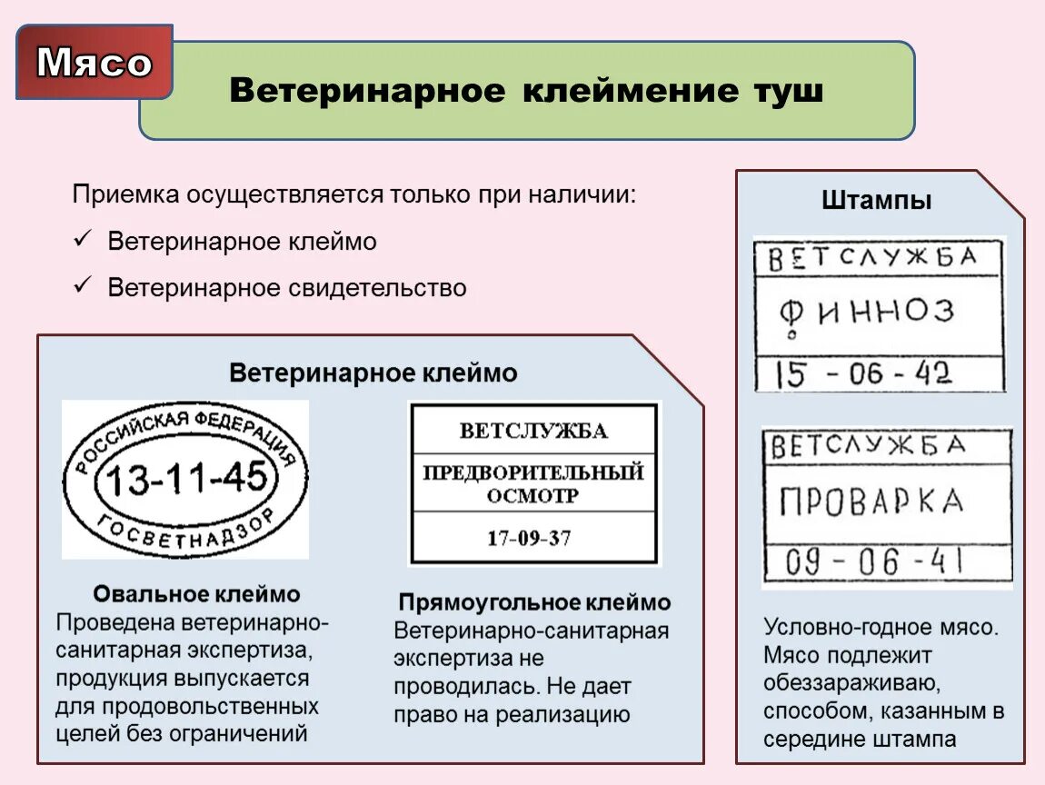 Кто выбирает клеймо для деталей контрольного соединения. Ветеринарное клеймение и товароведческая маркировка мяса. Образцы ветеринарные клейма и штампы для клеймения мяса. Прямоугольное Ветеринарное клеймо на туши. Ветеринарное клеймение мяса.