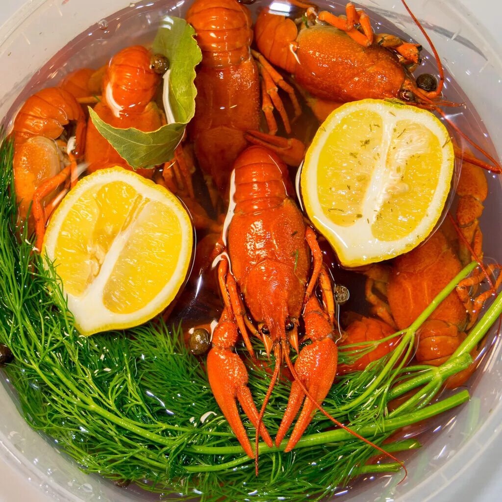 раковарня дизайн. горбуша рыба филе. морские гребешки ежи устрицы устрицы. морепродукты тверь. раковар.