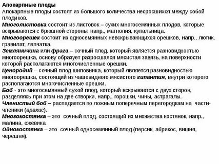 Простой плод это