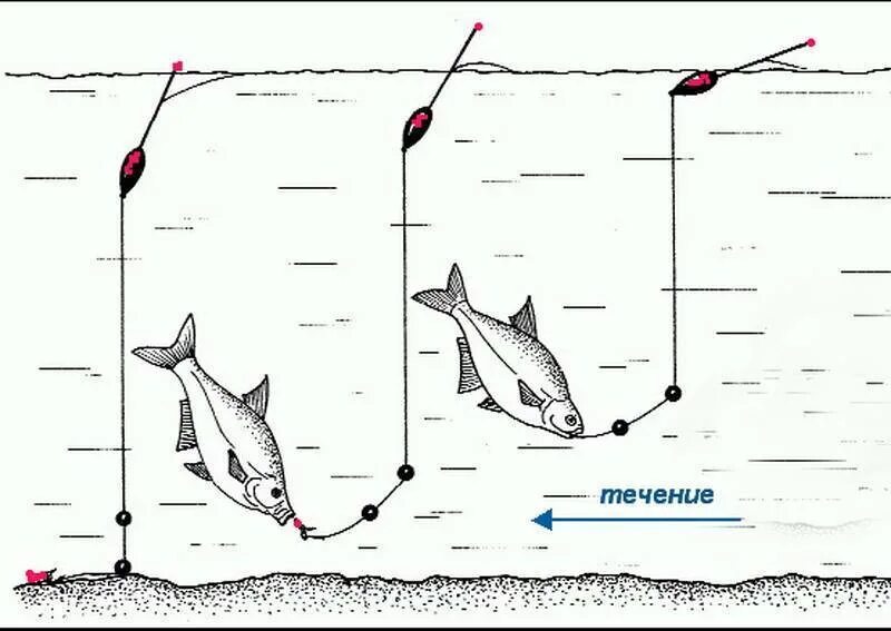 Оснастка поплавочной удочки на леща на течении. Оснастка поплавочной удочки на леща на реке. Оснастка поплавочной удочки на леща весной. Поплавочная оснастка для ловли леща на течении. Ловля леща летом