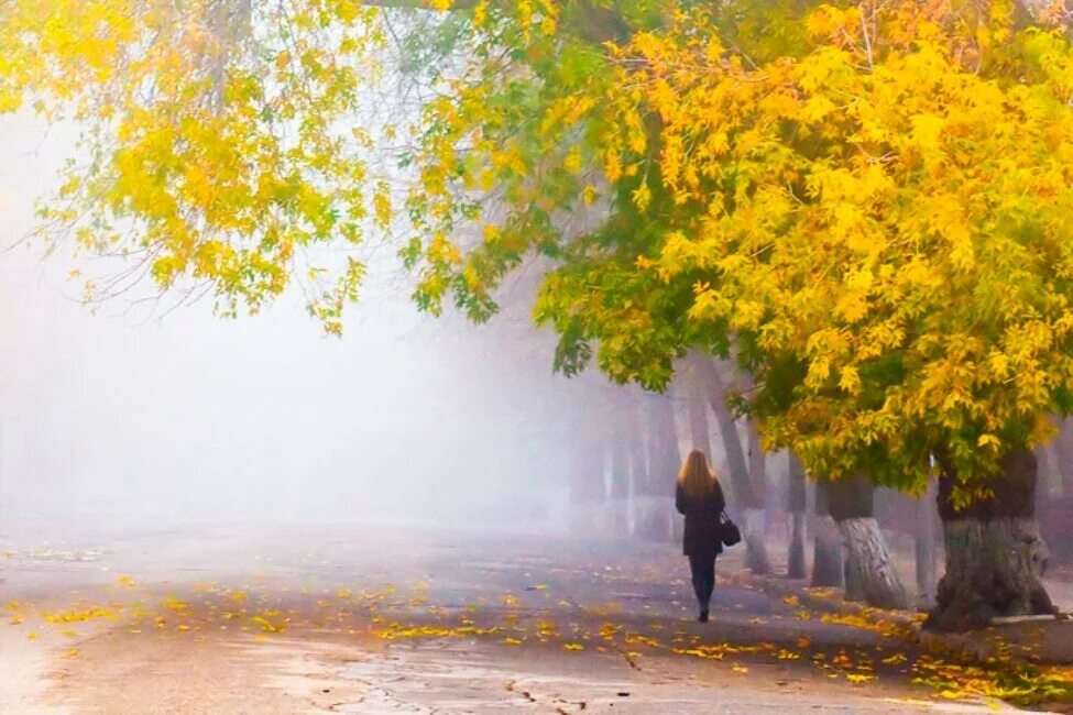 Твои мысли далеко за пеленою грез. Осенний день. Осенний дождь. Дождливый осенний день. Осенняя грусть.