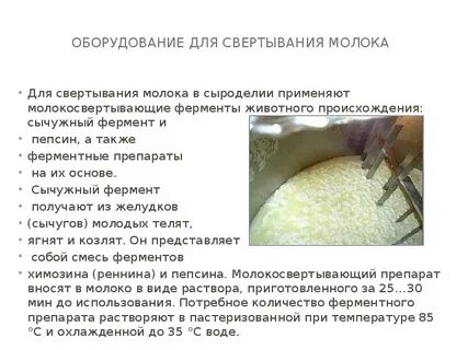 Сыр из молока с сычужным ферментом
