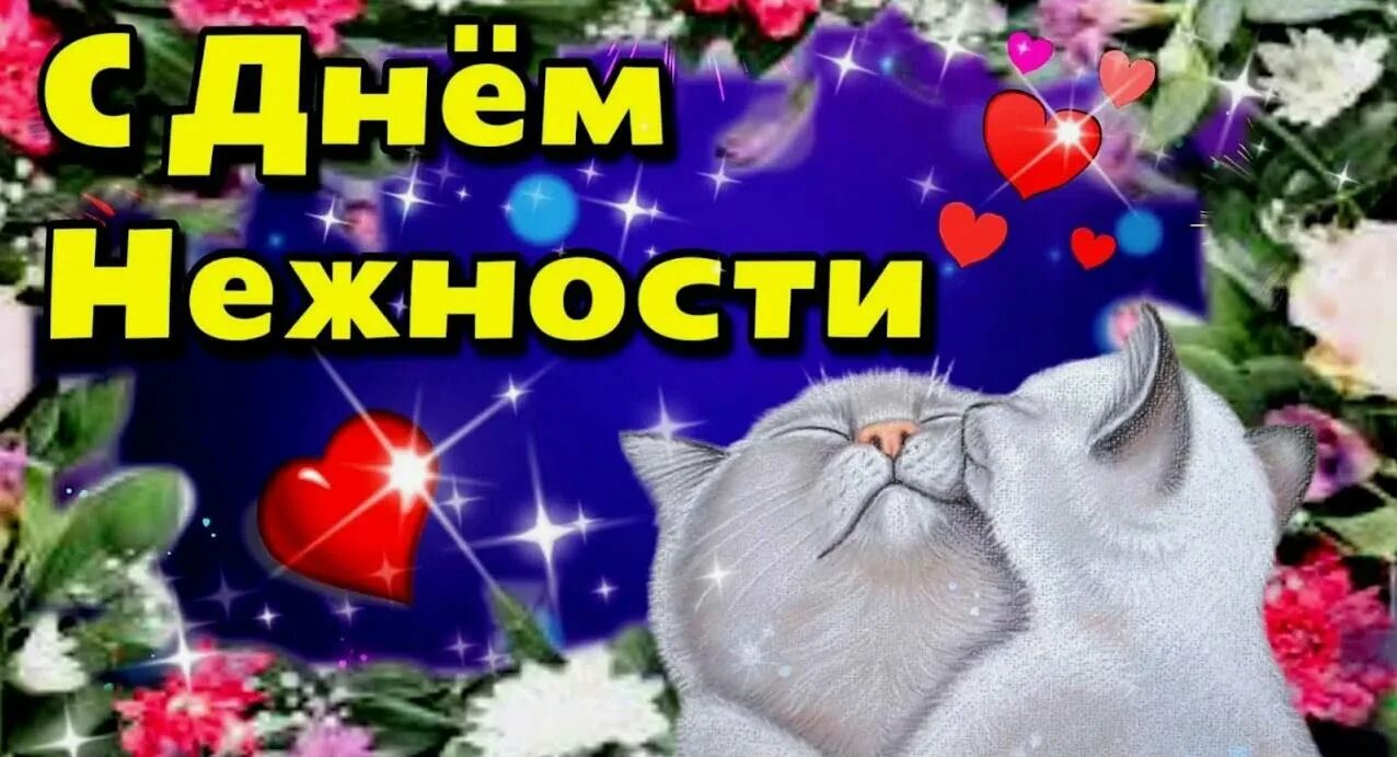 С днем нежности красивые поздравления. Международный день нежности когда. Международный день нежности. День нежности картинки 3 февраля прикольные. 3 февраля всемирный день нежности.