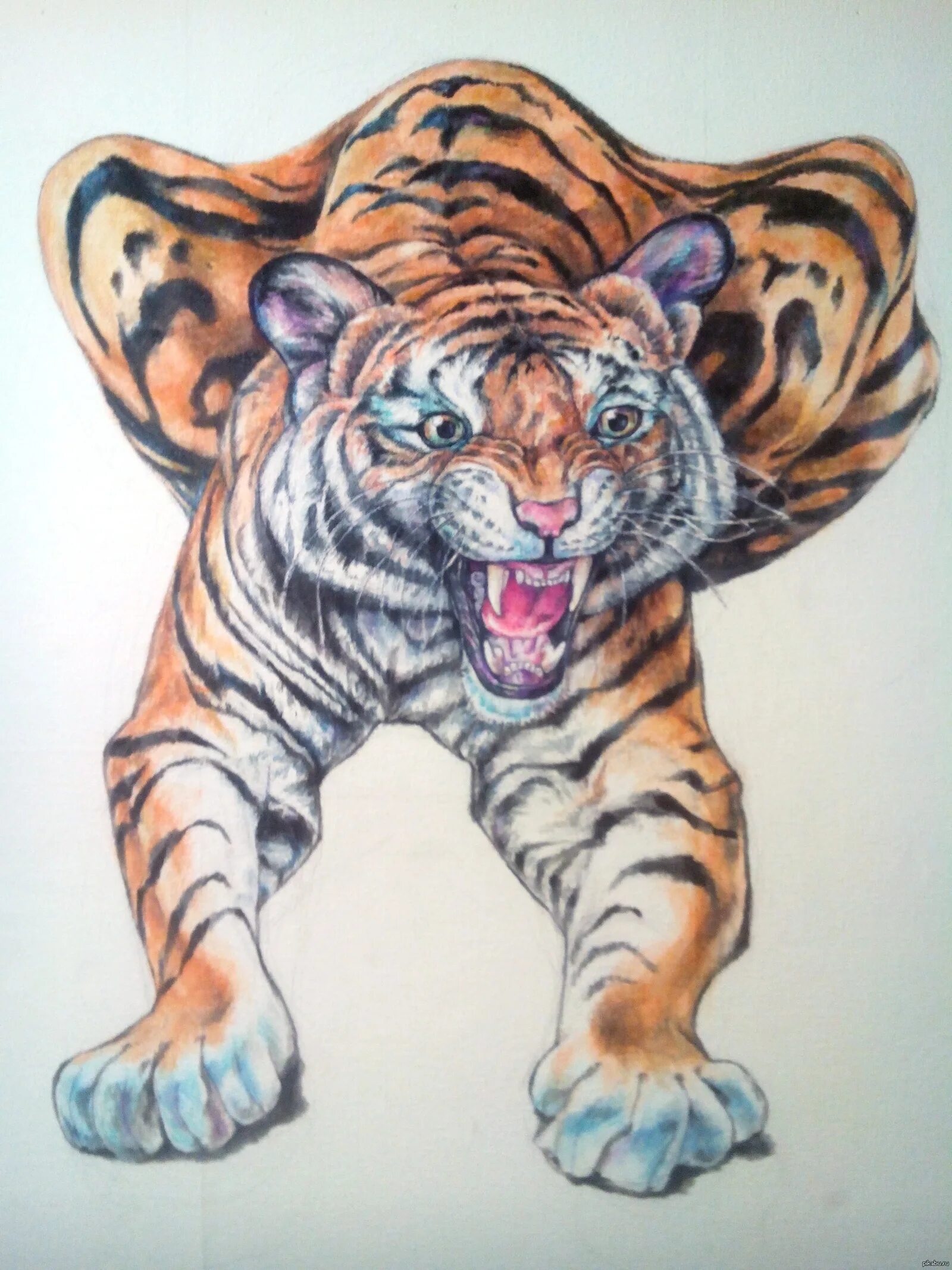 Пара тигров. Статуэтка тигр белый фарфор. Голодный тигр. Tiger 31. Tiger 31.