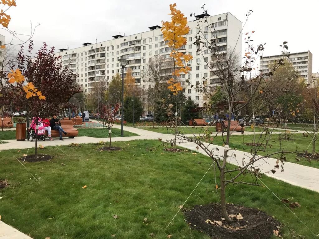 Останкино зеленоград. Зеленоград улица Аргуновская. Озеленение дворов в Москве. Деревья во дворах Москвы. Благоустроенные дворы Москва.