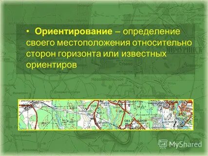 Ориентирующая определение