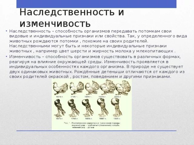Значение наследственной изменчивости в эволюции