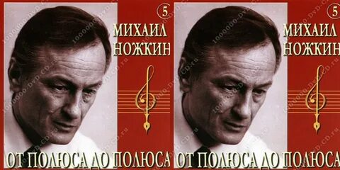 Стихи песни ножкина