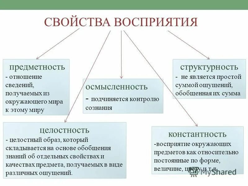 Всегда ли анализаторы правильно отражают окружающую действительность. Основные свойства восприятия. Свойства восприятия целостность. К свойствам восприятия относят:. К основным свойствам восприятия относятся.