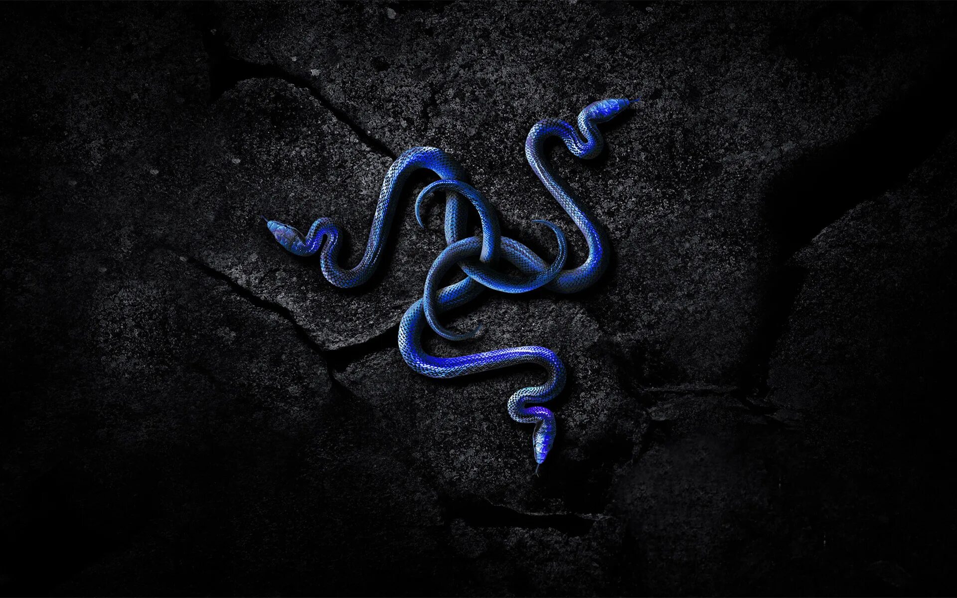 Smoke snake. Рейзер snake. razer snake snake. змея фон. рейзер синий.