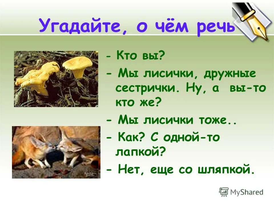 Шибаев мы лисички дружные сестрички. Загадка про гриб лисичка. Шибаев кто вы мы лисички. Стихотворение кто вы мы лисички. Золотистые лисички очень дружные сестрички.