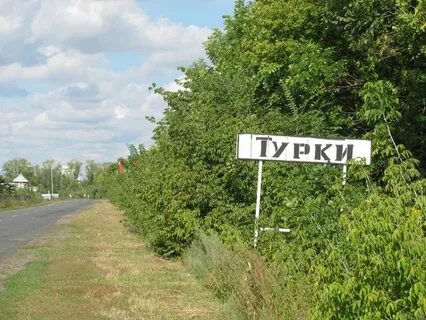 Турки саратовская