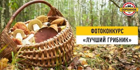 Слово грибники