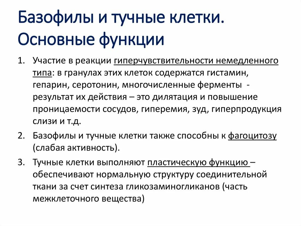 Тучные клетки функции иммунология. Характеристика тучные клетки функции. Функции базовые и тучные клетки. Укажите функции тучных клеток.