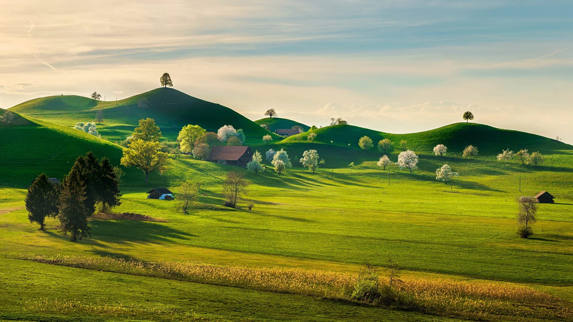 Поле холмы. Швейцария холм холм. Зеленые холмы Швейцарии. Природа поля Швейцарии. Природа Башкортостана холмы.