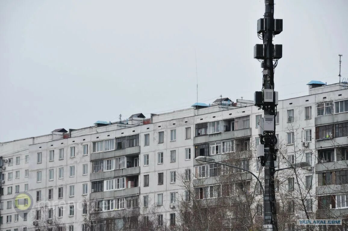 Вышки сотовой связи вред. Столб для антенны. Антенна на доме. Вышка связи на доме. Сотовая вышка.