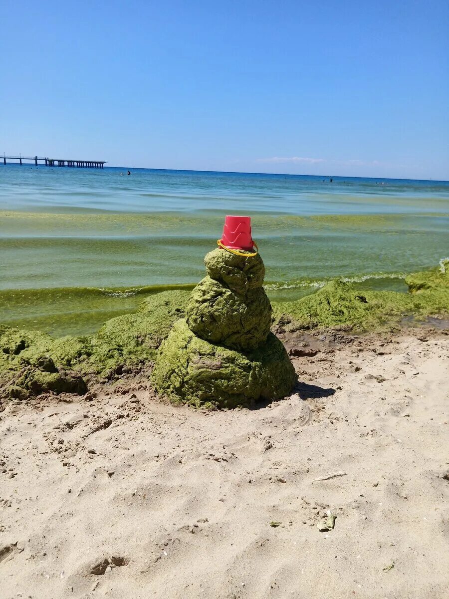 Водоросли в анапе. Витязево море цветет. Цветение водорослей в Анапе 2022. Цветение водорослей в Анапе. Камка в Анапе.