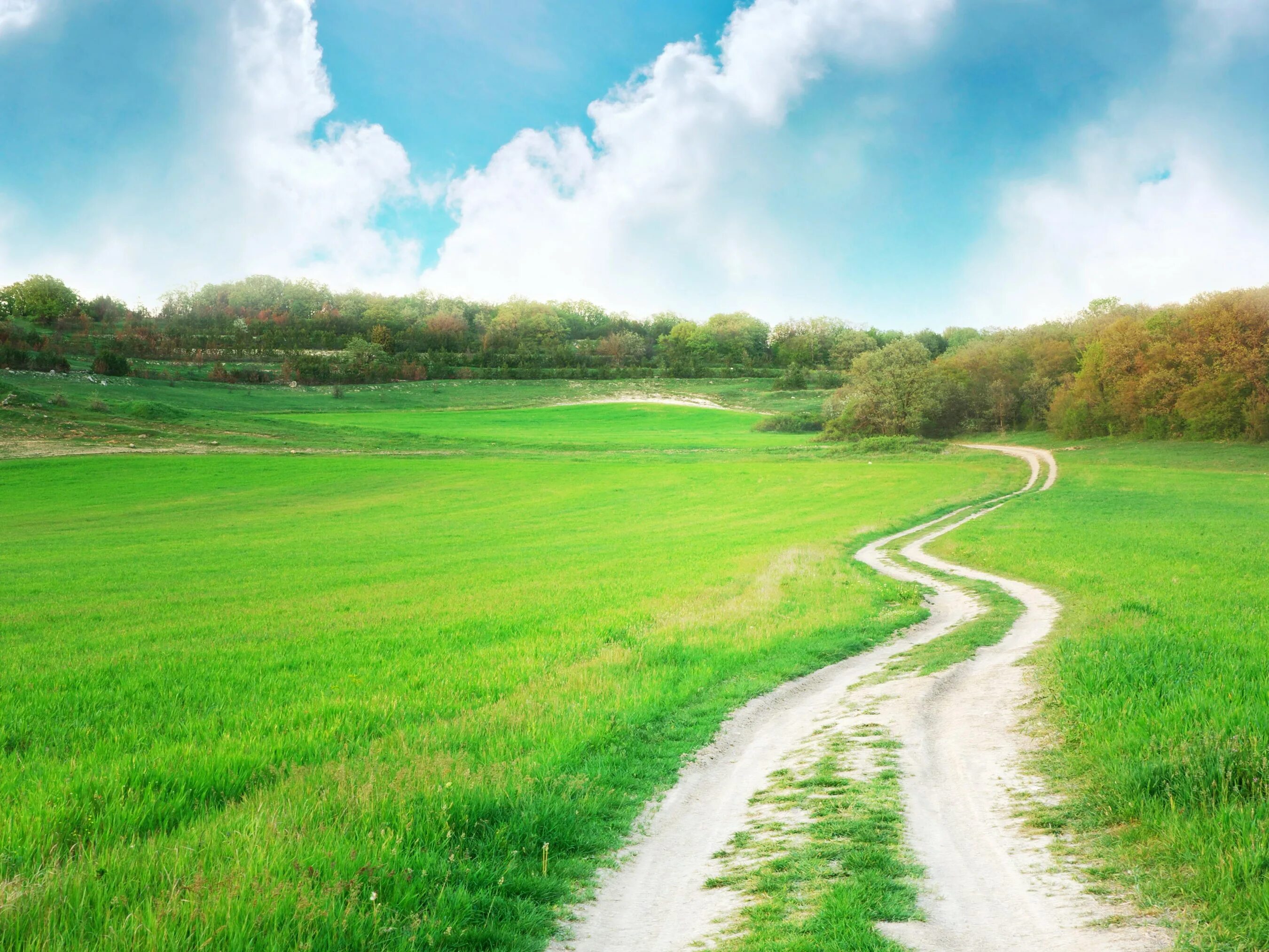 Через поля полные. Через поля полные. Фоны красивые поля с тропинкой. Через поля полные. Обои поле.