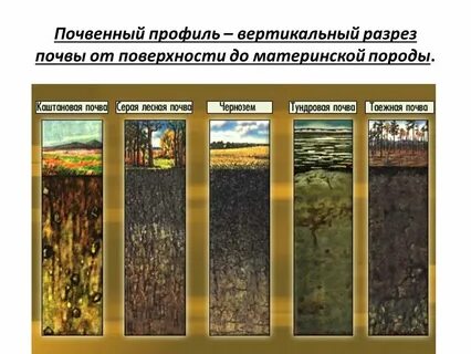 Горные территории почва