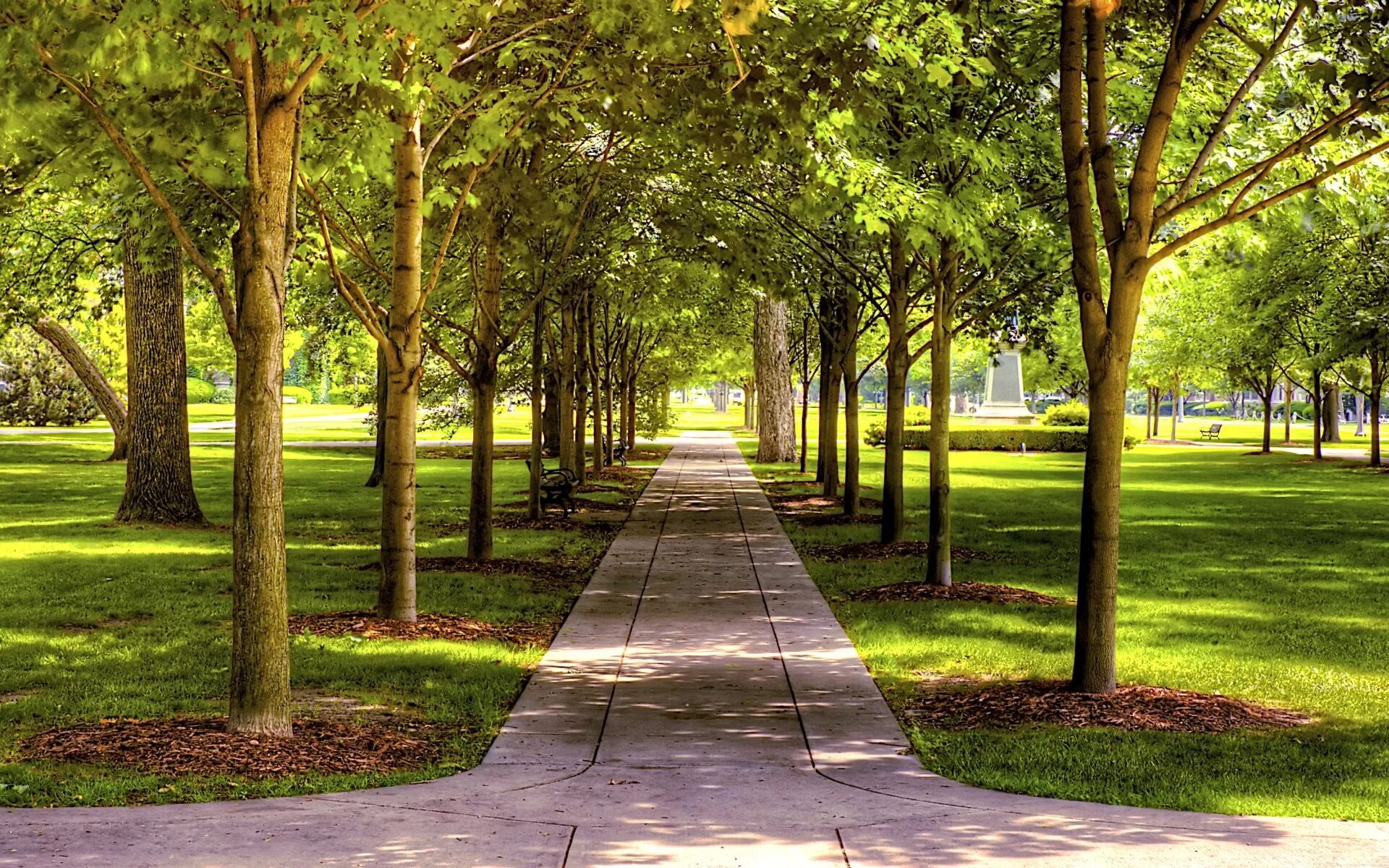 Park in. Липовая аллея Сокольники. Парк Липовая роща. Липовая аллея Сокольники 2000. Липовая аллея у Сокольников.