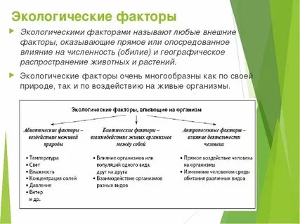 Природные условия в экологии