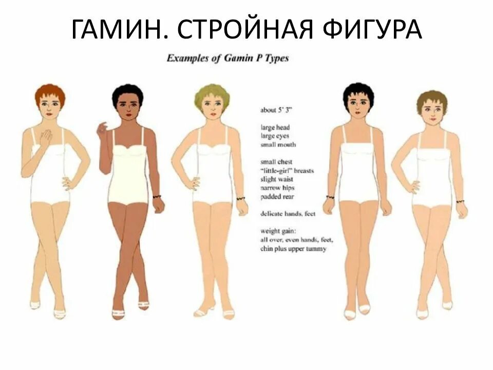 Типажи ларсон тест. Типаж гамин фигура. типажи ларсон гамин натурал. гамин типаж ларсон. типажи ларсон фигуры.
