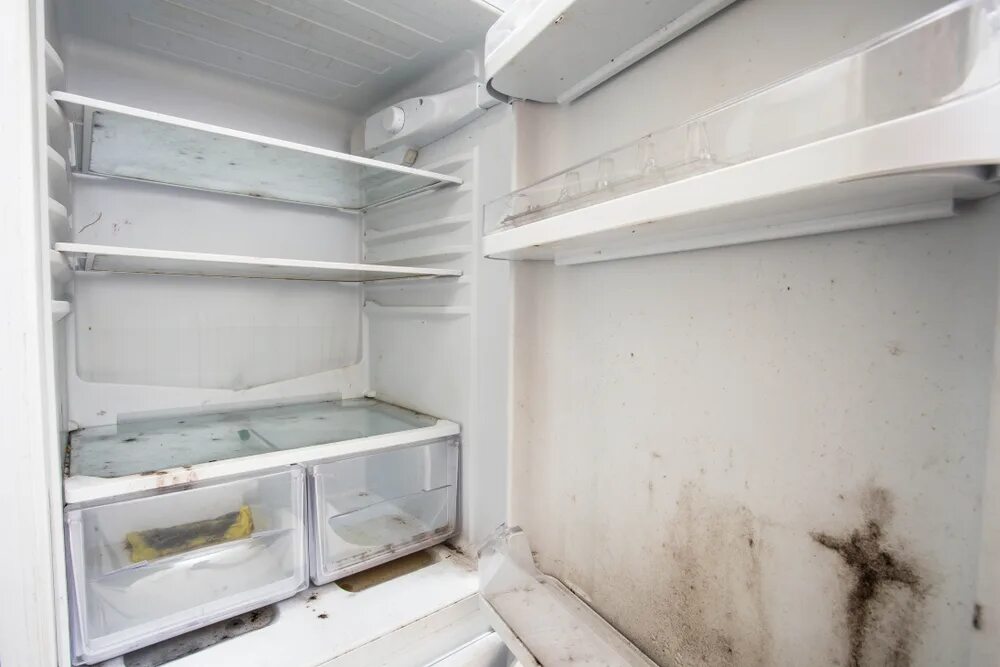 Почему в холодильнике появляется. Грязный холодильник. Плесень в холодильнике. Пустой холодильник. Старый холодильник.