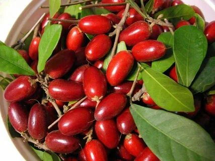 Rare fruit
