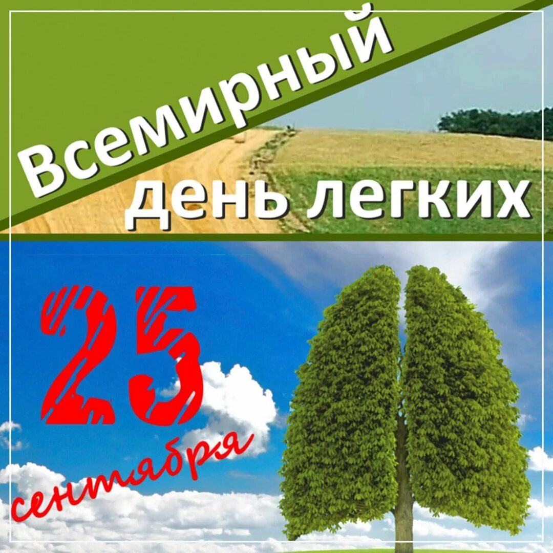 Сегодня легкий день. Сегодня легкий день