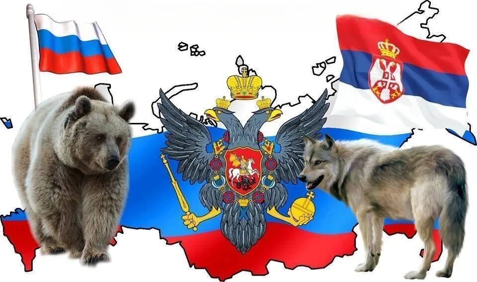 Русский медведь и волк. Медведь Россия. Флаг России с медведем. Волк с российским флагом.
