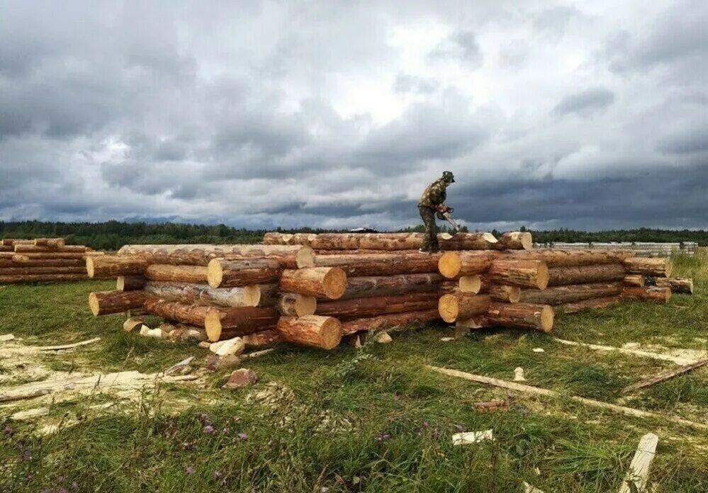 Срубы кудымкар