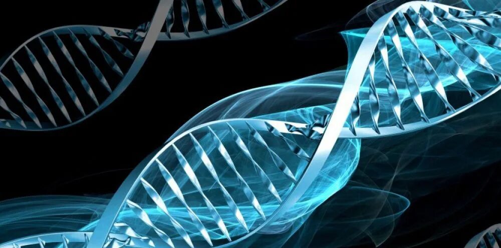 Nacr-440. Днк алан. Ген lrrtm1. Adn 6261. Adn 320.