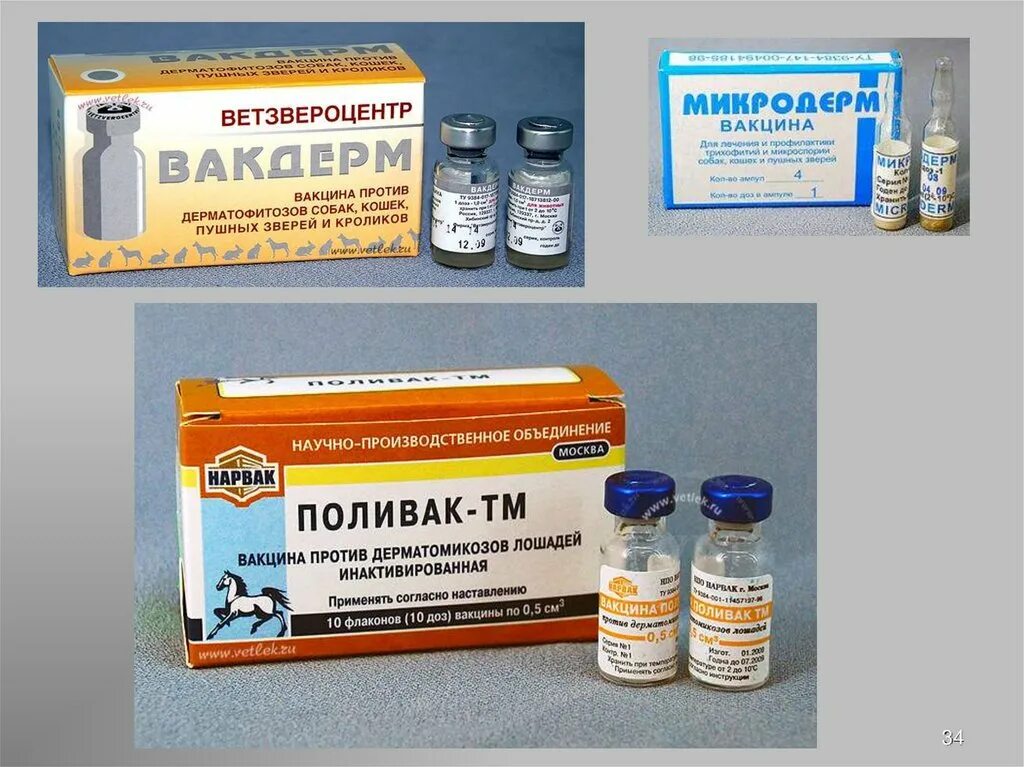 Гризеофульвин, итраконазол. 4 ампулы. Вакцина микродерм (уп 4дозы)*1. Вакцинация от лишая. Фунгивет для собак и кошек 20 таб.