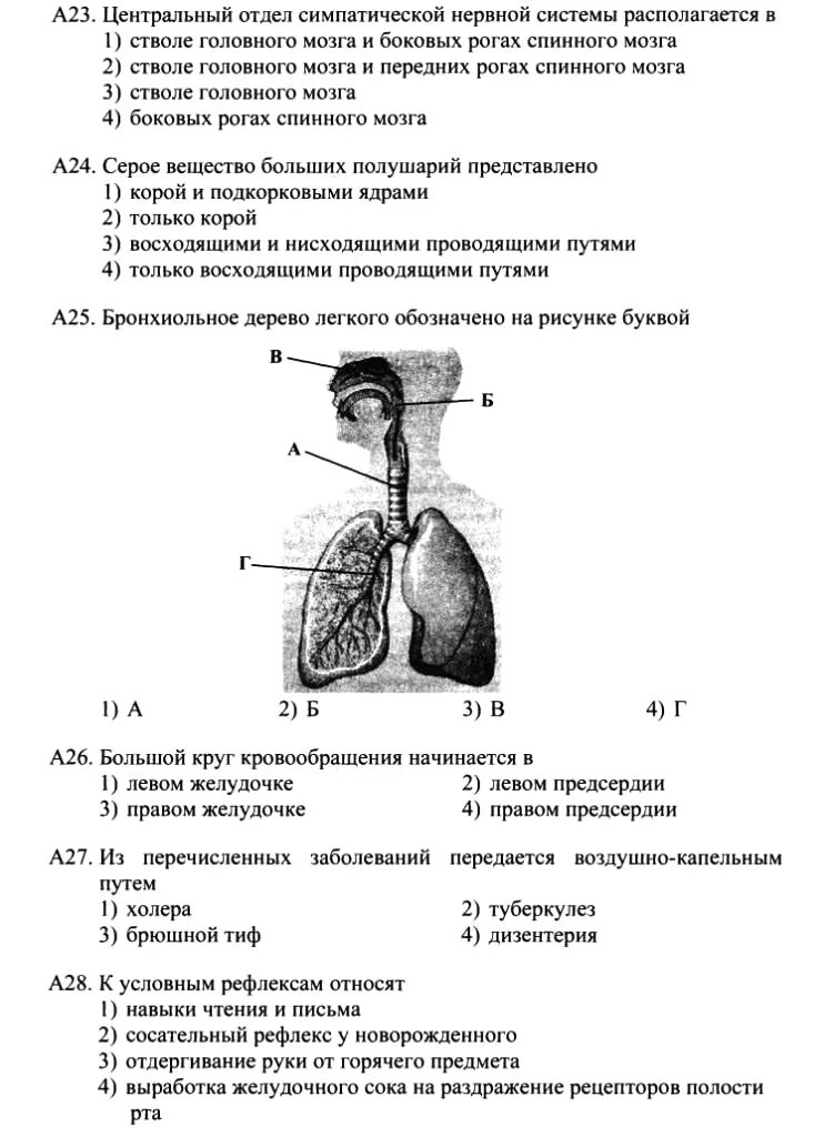 Тест выделение 9 класс биология. Тест по анатомии с ответами. Тест по биологии анатомия человека 8 класс. Тесты по анатомии 8 класс. Анатомия человека тест 8 класс.