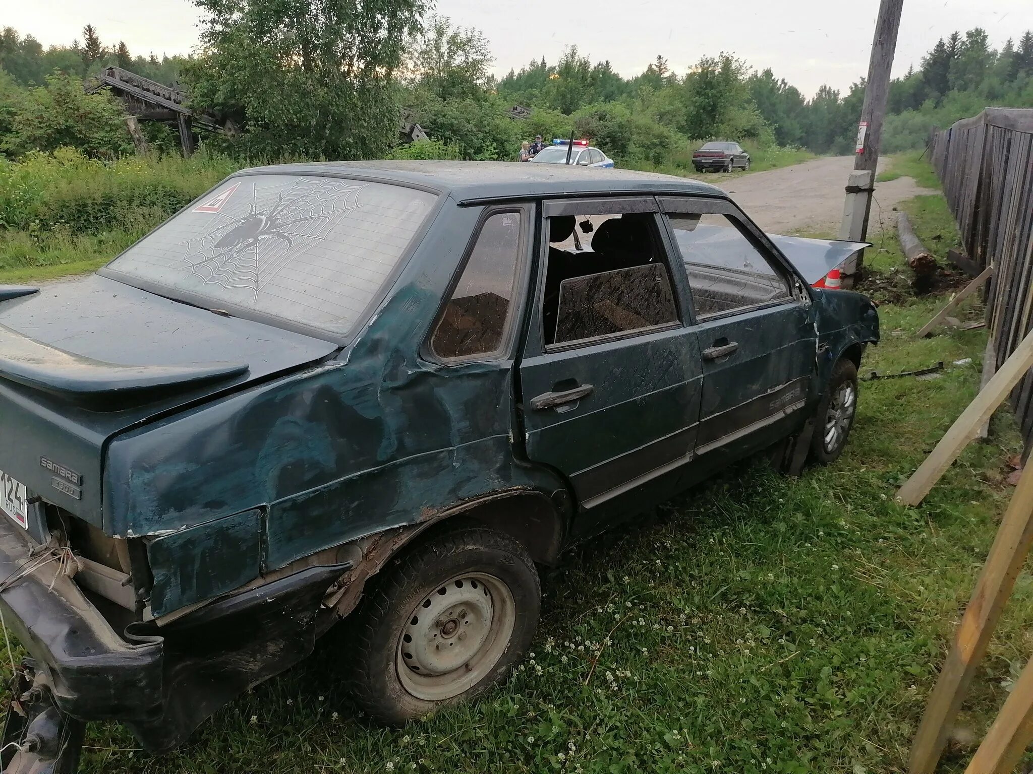 Чп енисейский