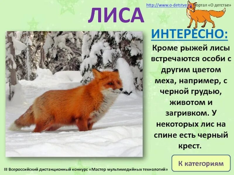 Характеристика рыжая лисичка ищет местечко для отдыха