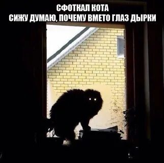 Сижу думаю