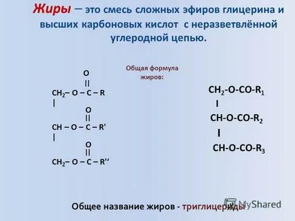 Названия жиров