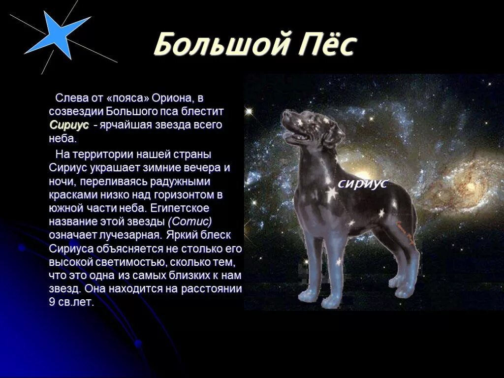 масса звезды сириус. проект звездное небо. звезда сириус интересные факты для 4 класса. сириус сверхгигант или нет. доклад о звезде сириус.