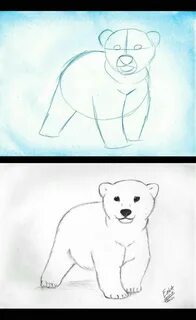 Белый медведь нарисовать карандашом ребенку