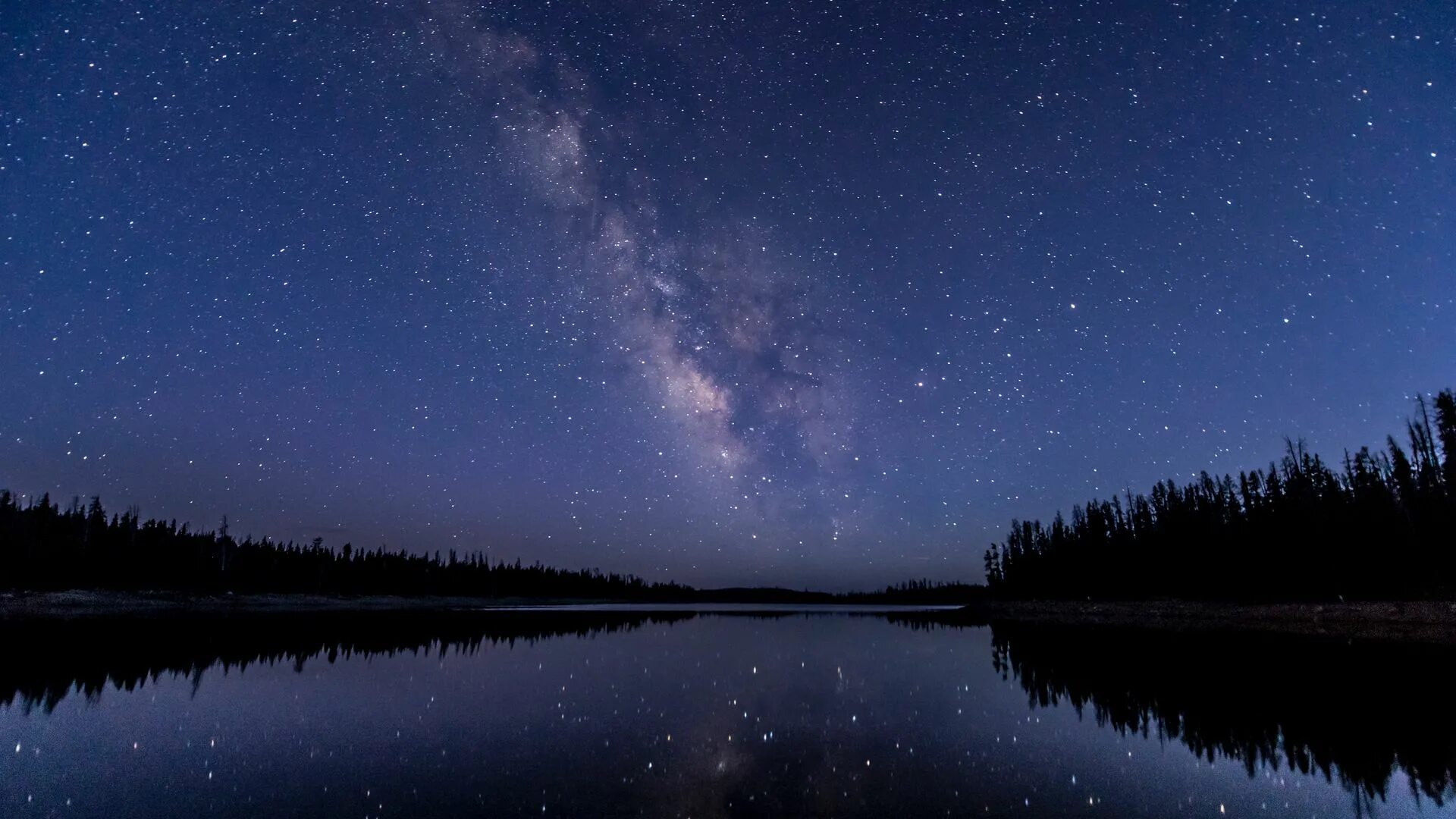 Camping on the South Shore photo by Tim Foster (@timberfoster) on Unsplash Starr