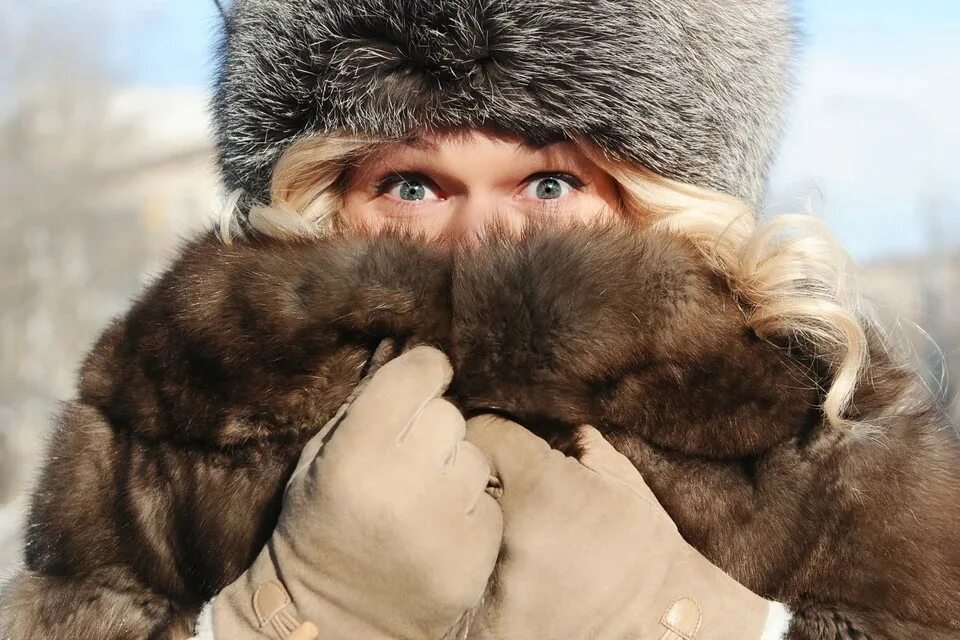 Согреться зимой. Холодно в шубе. Холодно фото. Мерзнет в шубе. Почему в холодную погоду многие животные