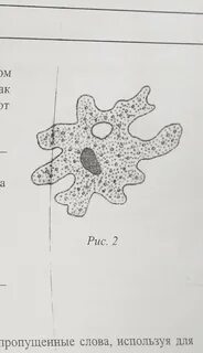 На рисунке изображено простейшее