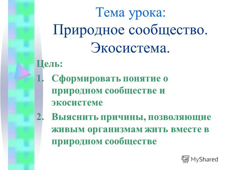 Природные сообщества 5 класс. Цель экосистемы. Причины позволяющие живым организмам жить вместе. Понятие о природном сообществе. Урок понятие о природном сообществе.