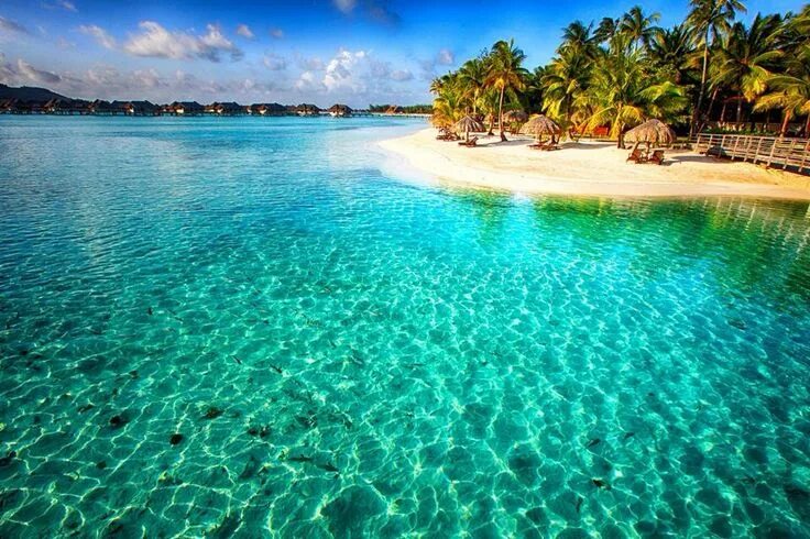 Fiji Yacht Charter - Super and mega yachts for 2023 2025 - YBH