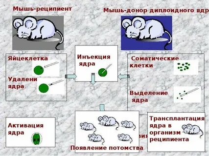 Удаление ядра